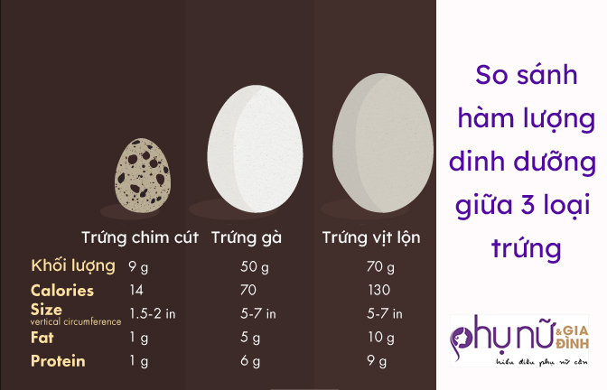 Trẻ từ 5-12 tuổi mỗi lần nên ăn nửa quả trứng vịt 