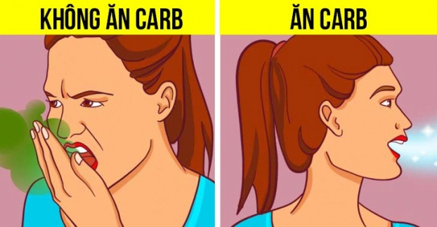 Điều gì có thể xảy ra với cơ thể nếu bạn ngừng ăn carb? - Ảnh 5