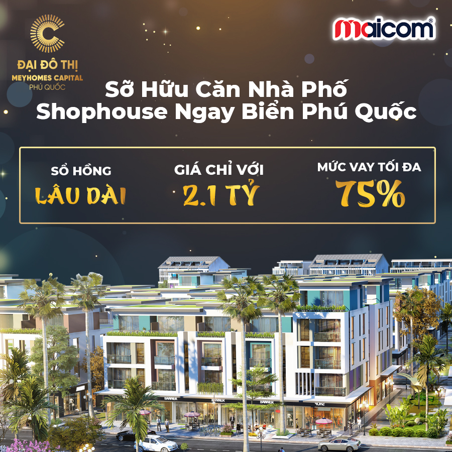 4 lý do khiến biệt thự Meyhomes Capital Phú Quốc được giới đầu tư bất động sản vô cùng quan tâm - Ảnh 1