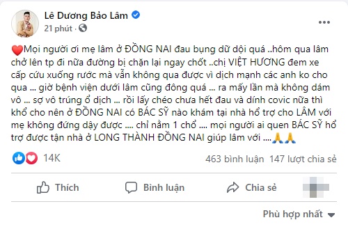 Le Duong Bao Lam 2
