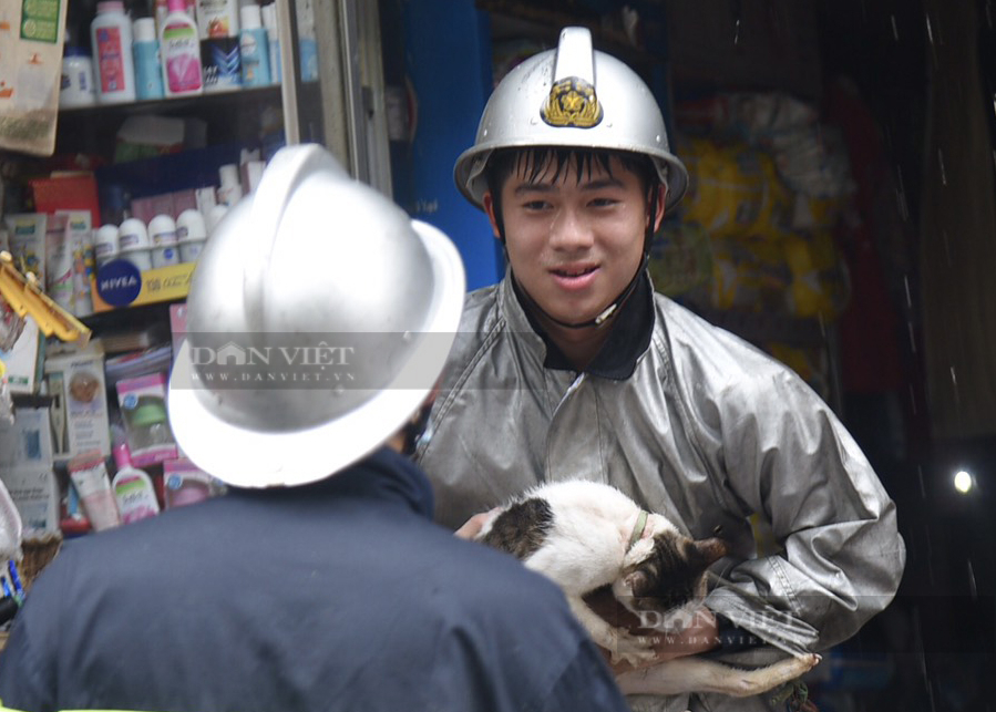 Hà Nội: Cháy quán tạp hóa gần Bệnh viện Nhi Trung ương và hình ảnh xúc động chiến sĩ PCCC giải cứu chú mèo - Ảnh 3