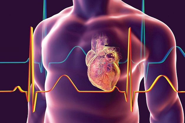 Đừng để bệnh tim đe dọa sức khỏe, nắm chắc bí quyết này tim mạch luôn được bảo vệ  - Ảnh 1