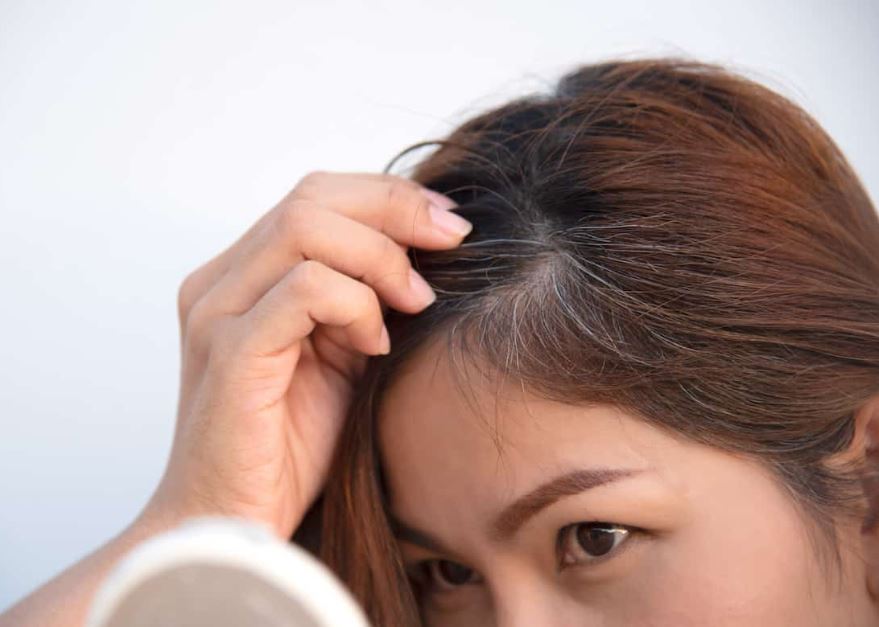 5 nguy hại khôn lường của thói quen nhổ tóc bạc không phải ai cũng biết - Ảnh 2