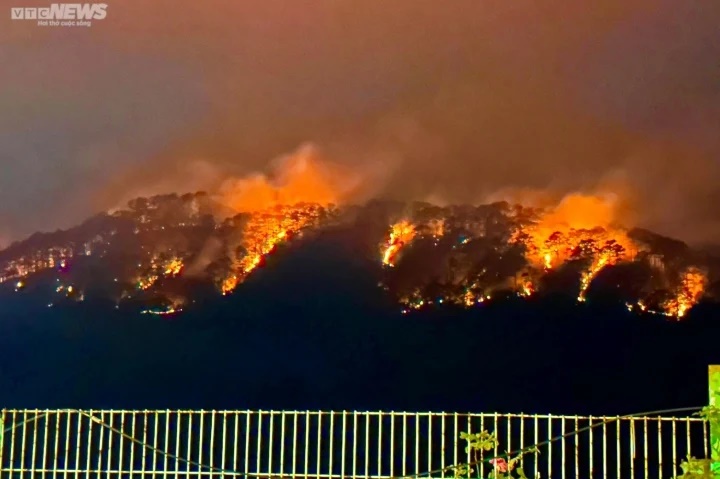 Cháy rừng nguyên sinh 70 năm tuổi ở Đà Lạt: Lửa vẫn âm ỉ không tắt, 10 ha rừng bị ảnh hưởng - Ảnh 2