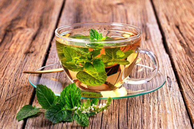 5 loại trà giúp bạn sống thọ hơn, giảm nguy cơ bệnh tật - Ảnh 4