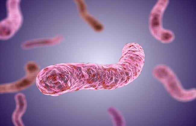 Cảnh báo mới về vi khuẩn ăn thịt người: Biểu hiện lâm sàng đa dạng, khó chẩn đoán, nguy cơ tử vong cao - Ảnh 2