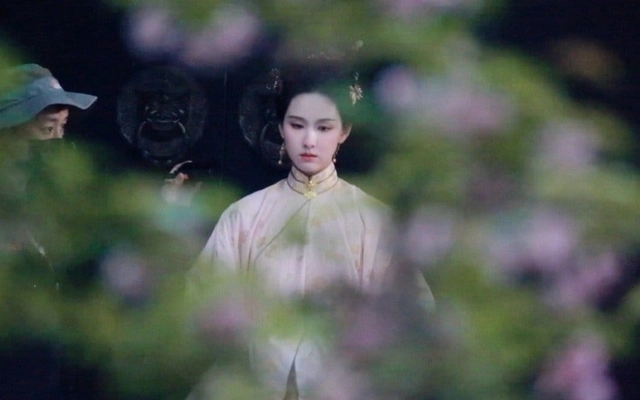 Trần Đô Linh sinh ra để đóng cổ trang, vai chính phiên 1 đầu tiên đã gây sốc bởi visual như 'xé sách bước ra' - Ảnh 4