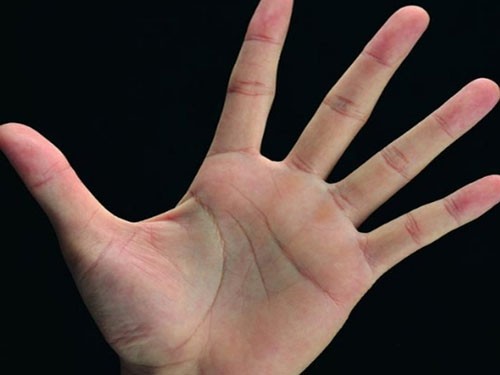 Bàn tay mà có 12 dấu hiệu này, bạn sẽ phú quý giàu sang cả đời, đặc biệt số 10 rất hiếm gặp - Ảnh 2