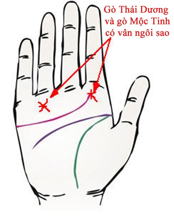 Bàn tay mà có 12 dấu hiệu này, bạn sẽ phú quý giàu sang cả đời, đặc biệt số 10 rất hiếm gặp - Ảnh 3