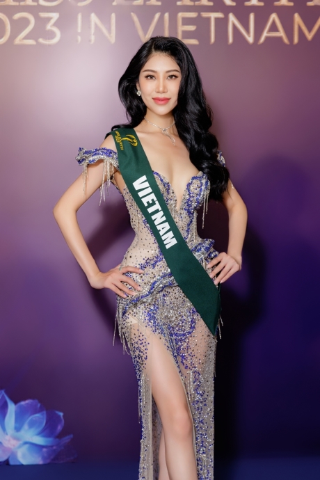 Đại diện Miss Earth Việt Nam 2023 liên tục vấp ngã trên thảm xanh, Trương Ngọc Ánh tiết lộ lý do xót xa phía sau? - Ảnh 4