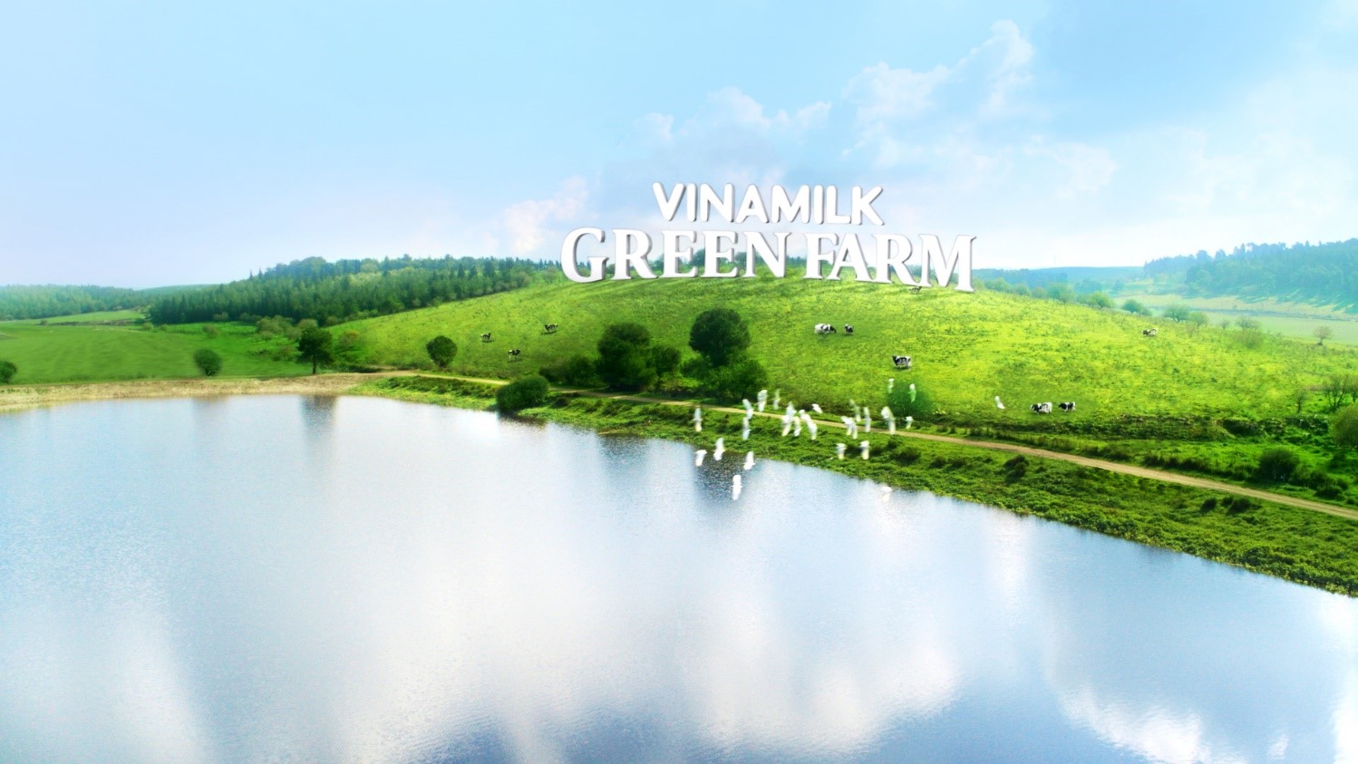Chuyện 'hậu trường' tìm hiểu 'lý lịch' dòng sữa tươi Green Farm mới đang khiến các mẹ tò mò - Ảnh 3